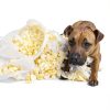 Furhaven Pet Thermal Blanket Waterproof Sherpa Dog Cat Bed-8