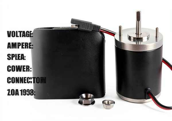 Salt Spreader Motor Ambition 18W 900RPM IP67 for ATV/UTV Replacement-1